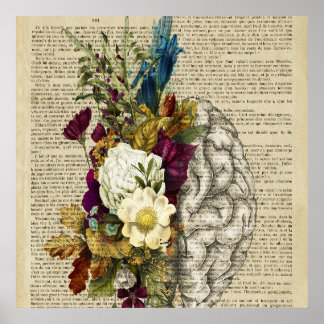 affiche d'anatomie du cerveau floral médical