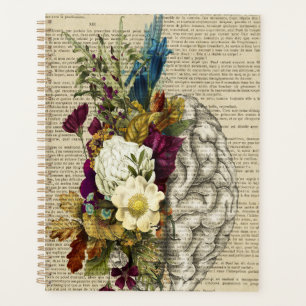 affiche d'anatomie du cerveau floral médical
