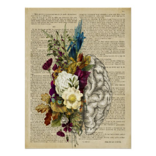 affiche d'anatomie du cerveau floral médical