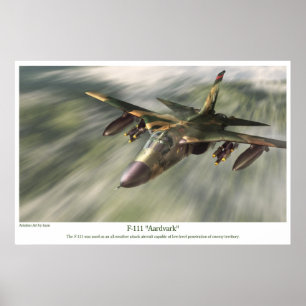 affiche d'art aéronautique " F-111 Aardvark"