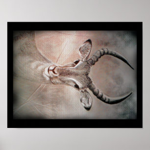 Affiche d'art d'antilope