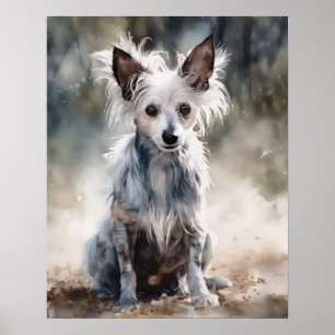 Affiche d'art de chien crêté chinois