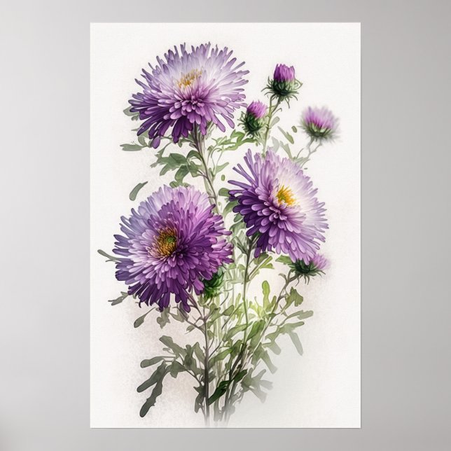 Affiche d'art de fleur d'aster pourpre (Devant)