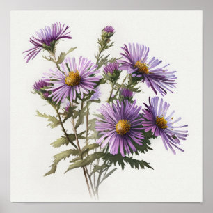 Affiche d'art de fleur d'aster pourpre