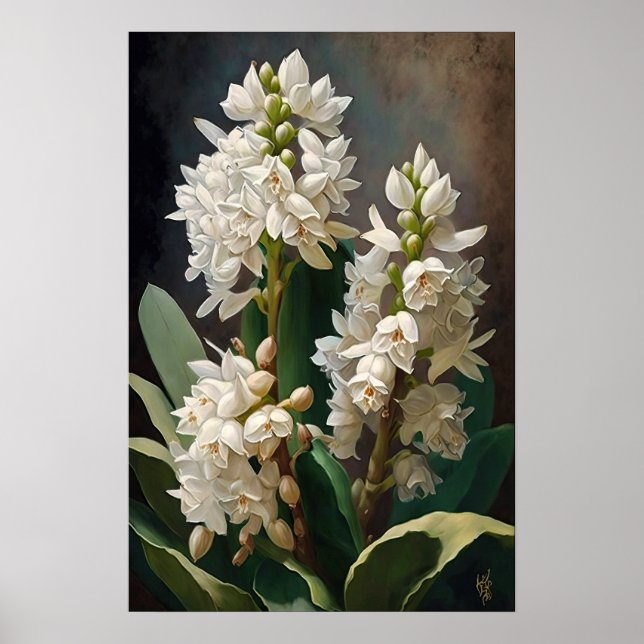 Affiche d'art de fleur de jacinthe blanche (Devant)