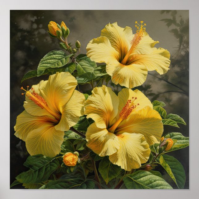 Affiche d'art de fleur d'hibiscus jaune (Devant)