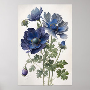 Affiche d'art de fleurs d'anémone bleue