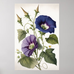 Affiche d'art de fleurs de gloire du matin violet