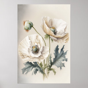 Affiche d'art de fleurs de pavot blanches