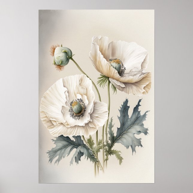 Affiche d'art de fleurs de pavot blanches (Devant)