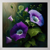 Affiche d'art de la fleur de gloire du matin viole