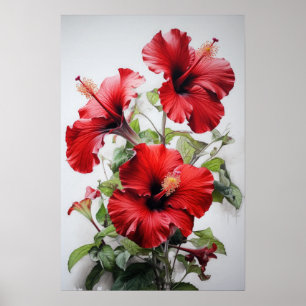 Affiche d'art de la fleur d'Hibiscus rouge