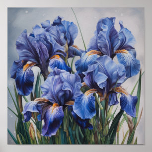 Affiche d'art d'impression de fleurs d'Iris bleus