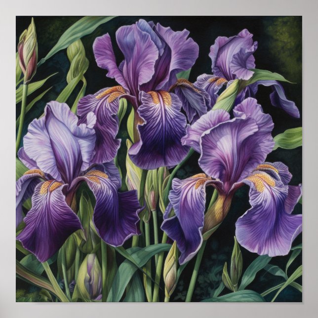 Affiche d'art d'impression de fleurs d'iris violet (Devant)