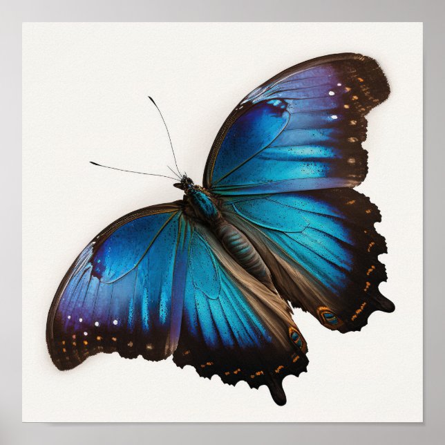 Affiche d'art du papillon Morpho Bleu (Devant)