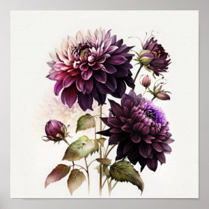 Affiche d'art floral Dahlias violets