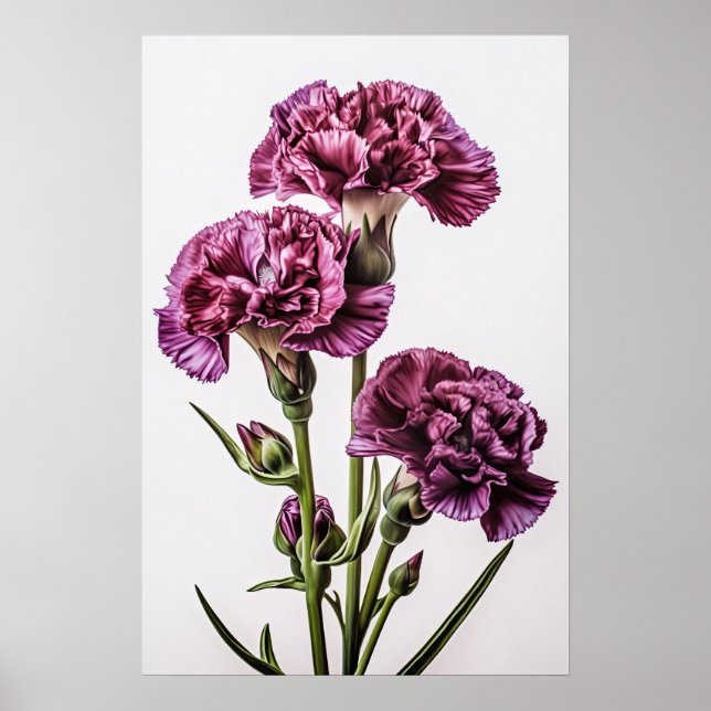 Affiche d'art floral d'œillets violets (Devant)