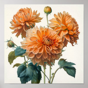 Affiche d'art imprimé de fleurs de dahlias orange