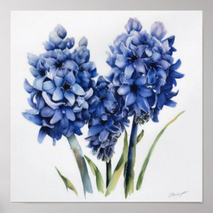 Affiche d'art imprimée de fleur de jacinthe bleue