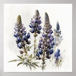 Affiche d'art imprimée de fleur de lupin bleu