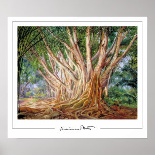 Affiche d'art Marianne North Zedign #5