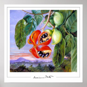 Affiche d'art Marianne North Zedign #9