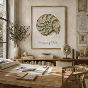 Affiche d'art mural moderne de coquille de nautile