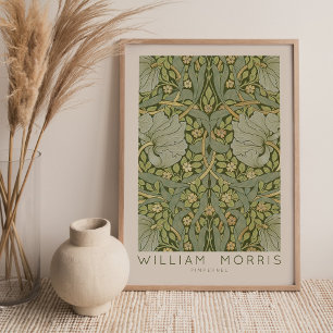 Affiche d'art murale Pimpernel de William Morris