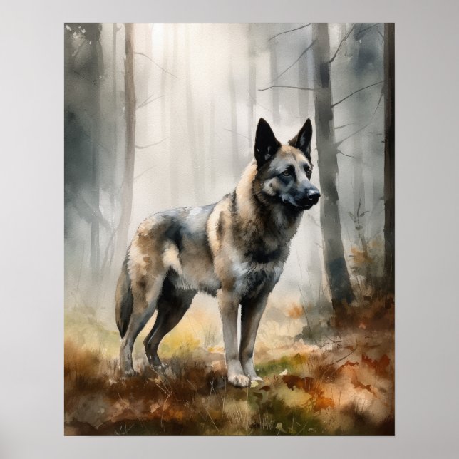 Affiche d'art norvégien Elkhound Dog (Devant)