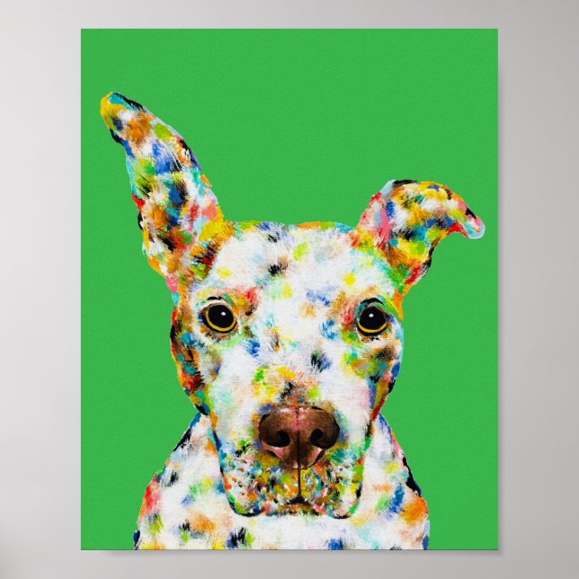 Affiche d'art Pitbull (Devant)