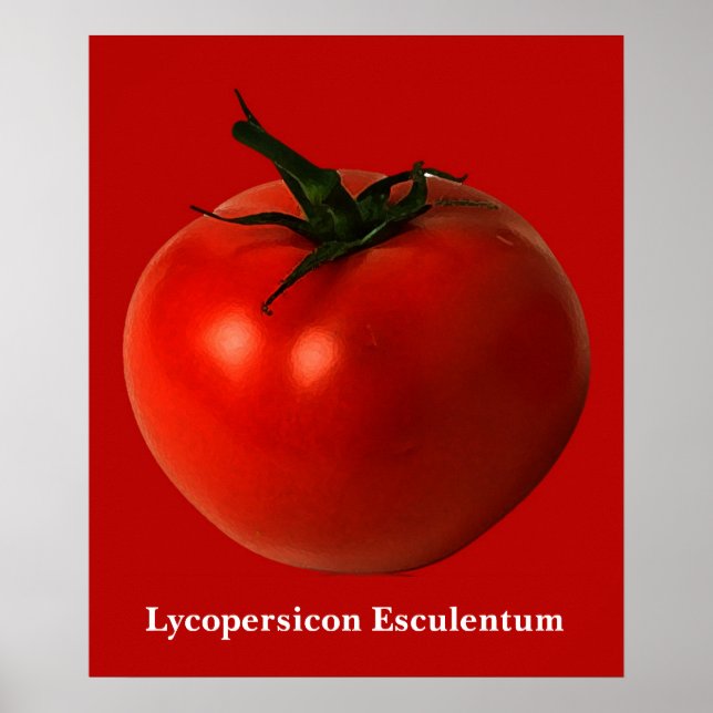 affiche d'art tomate (Devant)