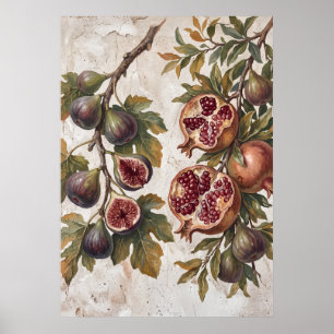 Affiche d'art vintage Fig Pomegranate