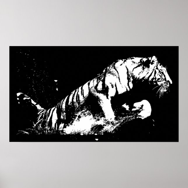 Affiche d'attaque de tigre - Tiger noir et blanc (Devant)
