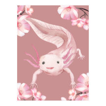 Affiche d'Axolotl Floral Rose