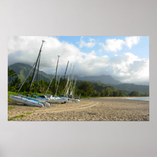 Affiche de baie de Hanalei