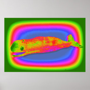 affiche de baleine psychédélique souriante
