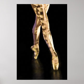 Affiche de ballet-4204