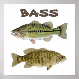 Affiche de Bass Art