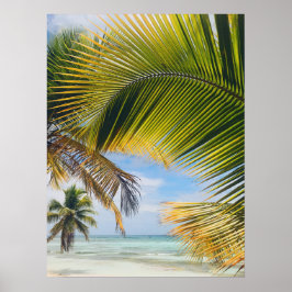 affiche de beach Palms