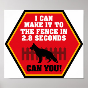 Affiche de berger allemand