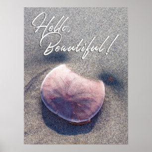 Affiche de bienvenue de dollar de sable en direct 