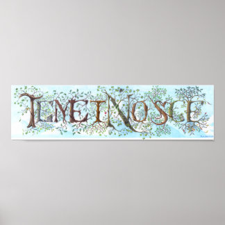 Affiche de bruit de tempête