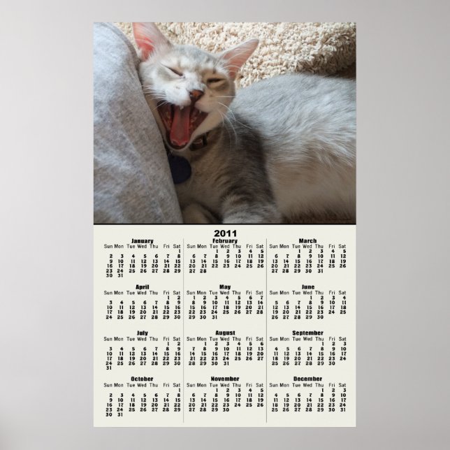 Affiche de calendrier 2011 Jasper Yawning Kitten (Devant)
