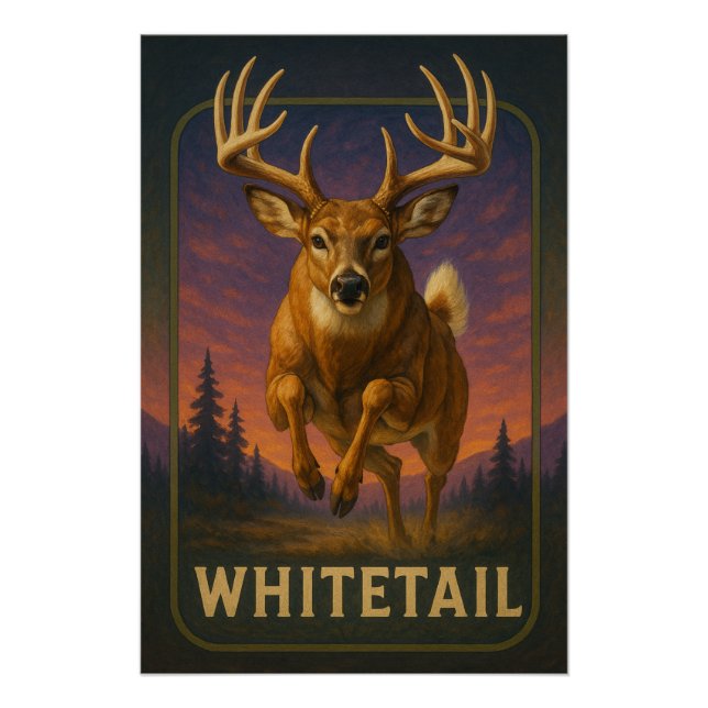 Affiche de cerf à queue blanche (Devant)