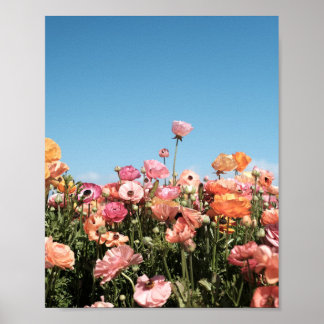 Affiche de champ de fleurs colorées