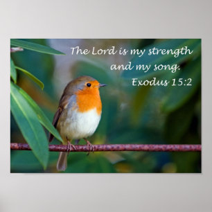 Affiche de chanson de Robin