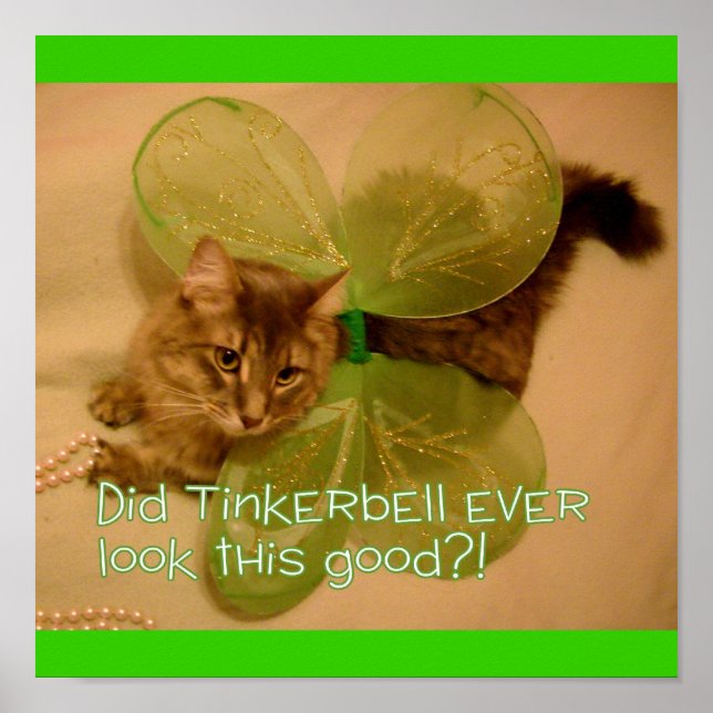 Affiche de chat (Devant)