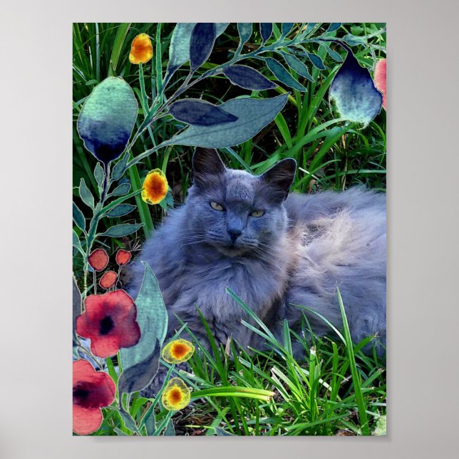 Affiche de chat russe bleu à poils longs Fluffy (Devant)