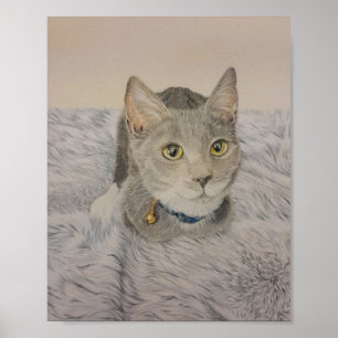 Affiche de chaton gris