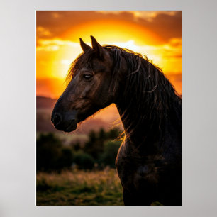 Affiche de cheval Art équestre